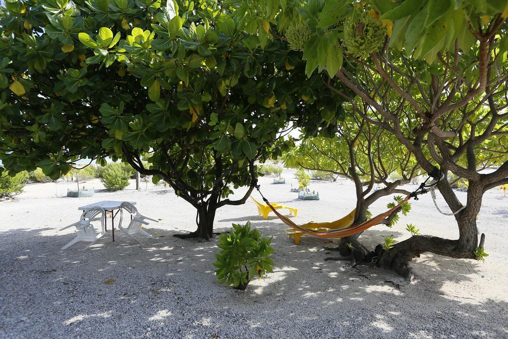 Hakamanu Lodge Tikehau Exteriör bild